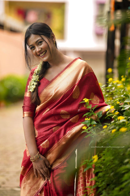 Maroon Soft Banarasi silk saree with all over the saree & zari weaving Rich pallu